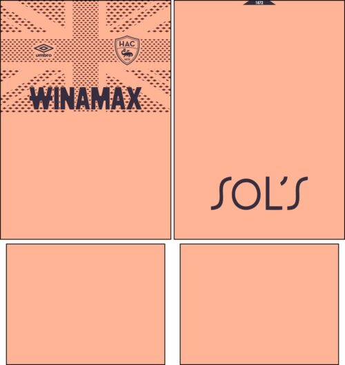 Arte Vetor Camisa Le Havre Visita 2025-2026